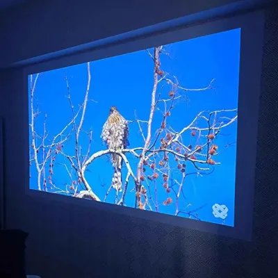 240x180 Projeksiyon Perdesi Duvara Monte