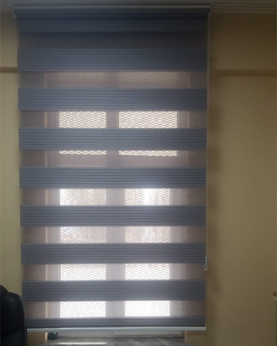 Pileli zebra modeli