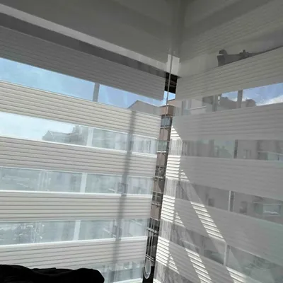 Stor zebra perde