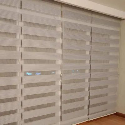 Zebra perde bursa